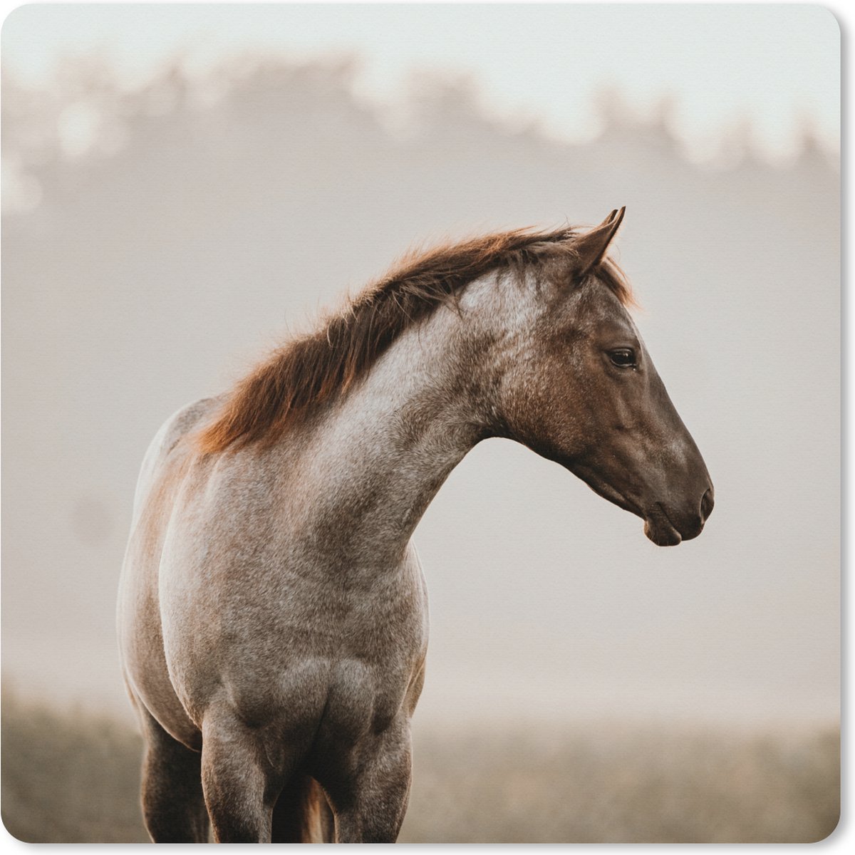 Muismat XXL 40x40 cm - Bureau onderlegger - Bureau mat Paard - Mist - Natuur - Bureaumat - Gaming mousepad xl - Bureaulegger groot - Computer deskmat