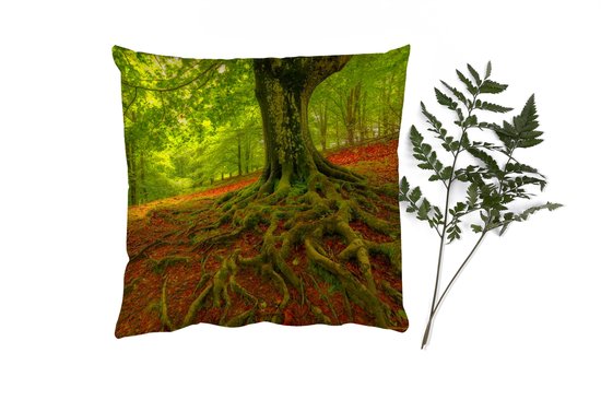 Coussins Coussins décoratifs - Oreillers Salon - 45x45 cm - Arbre - Forêt - Feuilles d'automne
