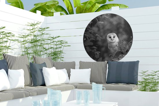 Cercle de jardin Hibou sur une branche - noir et blanc - 60x60 cm - Affiche de jardin ronde - Extérieur