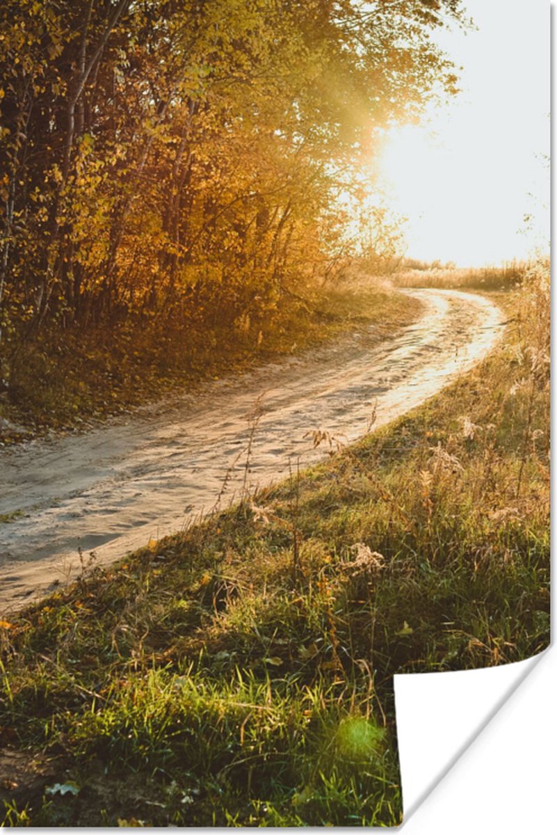 Poster Pad - Natuur - Boom - 40x60 cm