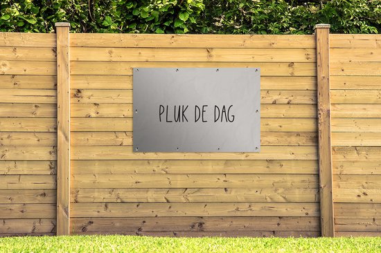 Poster de jardin Texte - Décoration de jardin - Taupe - Couleur sable - Citations - Carpe Diem - Saisir le jour - 120x80 cm - Toile de clôture - Toile de jardin