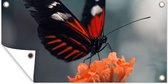 Tuinposter - Vlinder - Bloem - Natuur - Tuindoek - 60x30 cm - Tuinposter vlinder