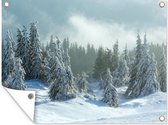 Tuinposter - Tuinschilderij bos - Sneeuw - Tuindoek - Winter - Bos - Tuindecoratie - Bomen - 40x30 cm