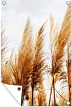 Tuinposter - Pampas - Pampasgras pluimen - Plant - Oranje - Bruin - 40x60 cm - Tuin decoratie - Tuin - Muurdecoratie - Wanddecoratie - Tuindoek - Buitenposter