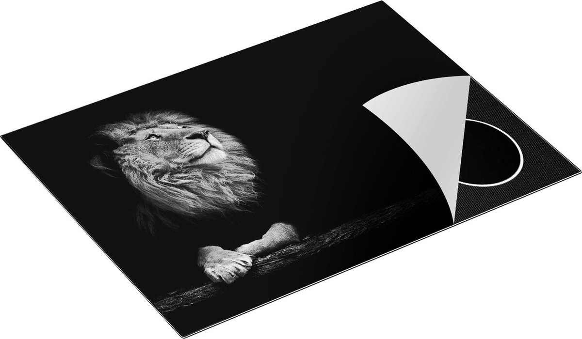 Chefcare Inductie Beschermer Leeuw in het Donker op een Boomstronk - Zwart Wit - 71x52 cm - Afdekplaat Inductie - Kookplaat Beschermer - Inductie Mat