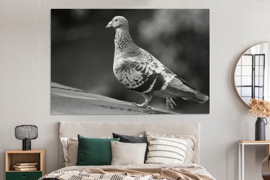 Tableau sur toile 150x100 cm - Décoration murale Pigeon voyageur sur un toit - noir et blanc - Décoration murale salon - Décoration chambre - Accessoires chambre - Peintures