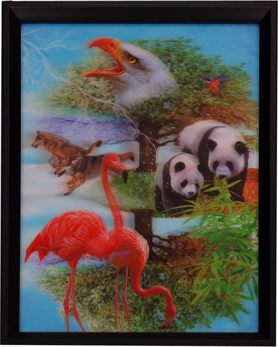 3d schilderij Panda's, Flamingo's, Wolven, Adelaar en Kolibrie