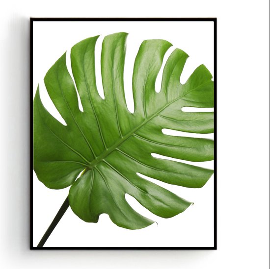 Schilderij  Botanisch tropisch groen blad links / Planten / Bladeren / 50x40cm