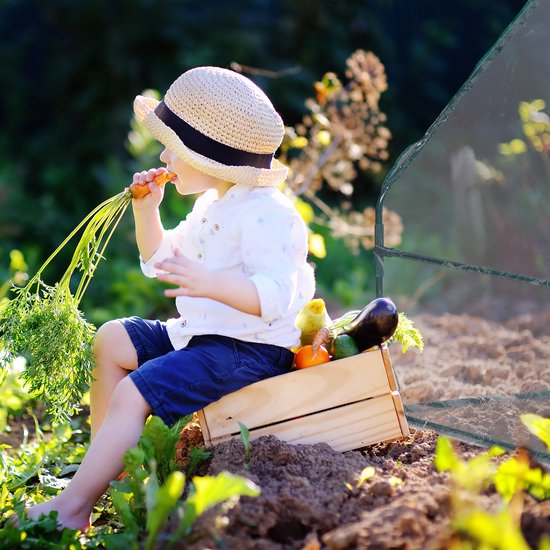 Jongen met strooien hoed in een tuin, bij een houten krat met groenten en wortels, met een mini-kas op de achtergrond.