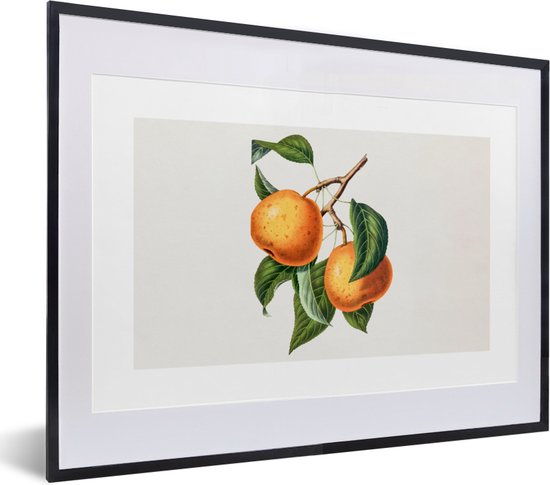 Fotolijst incl. Poster - Fruit - Eten - Bladeren - 40x30 cm - Posterlijst