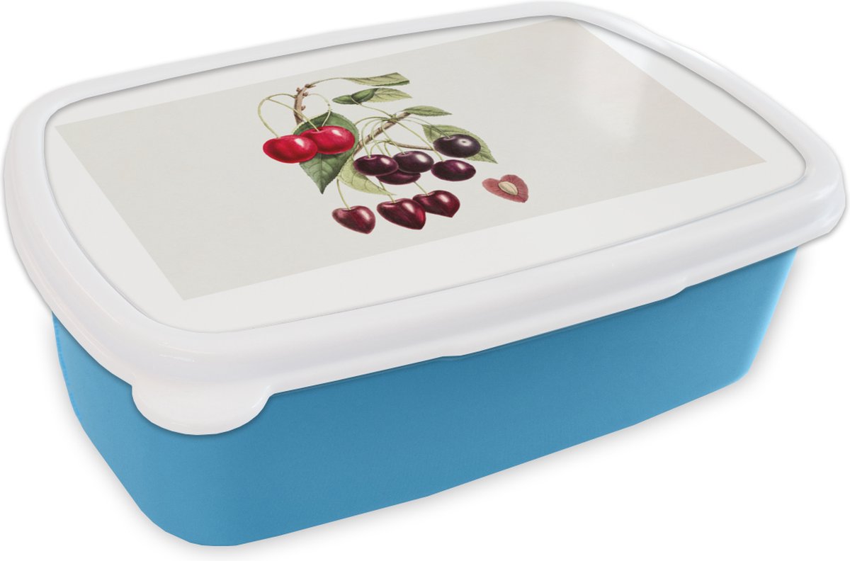 Broodtrommel Blauw - Lunchbox - Brooddoos - Eten - Kers - Hart - 18x12x6 cm - Kinderen - Jongen