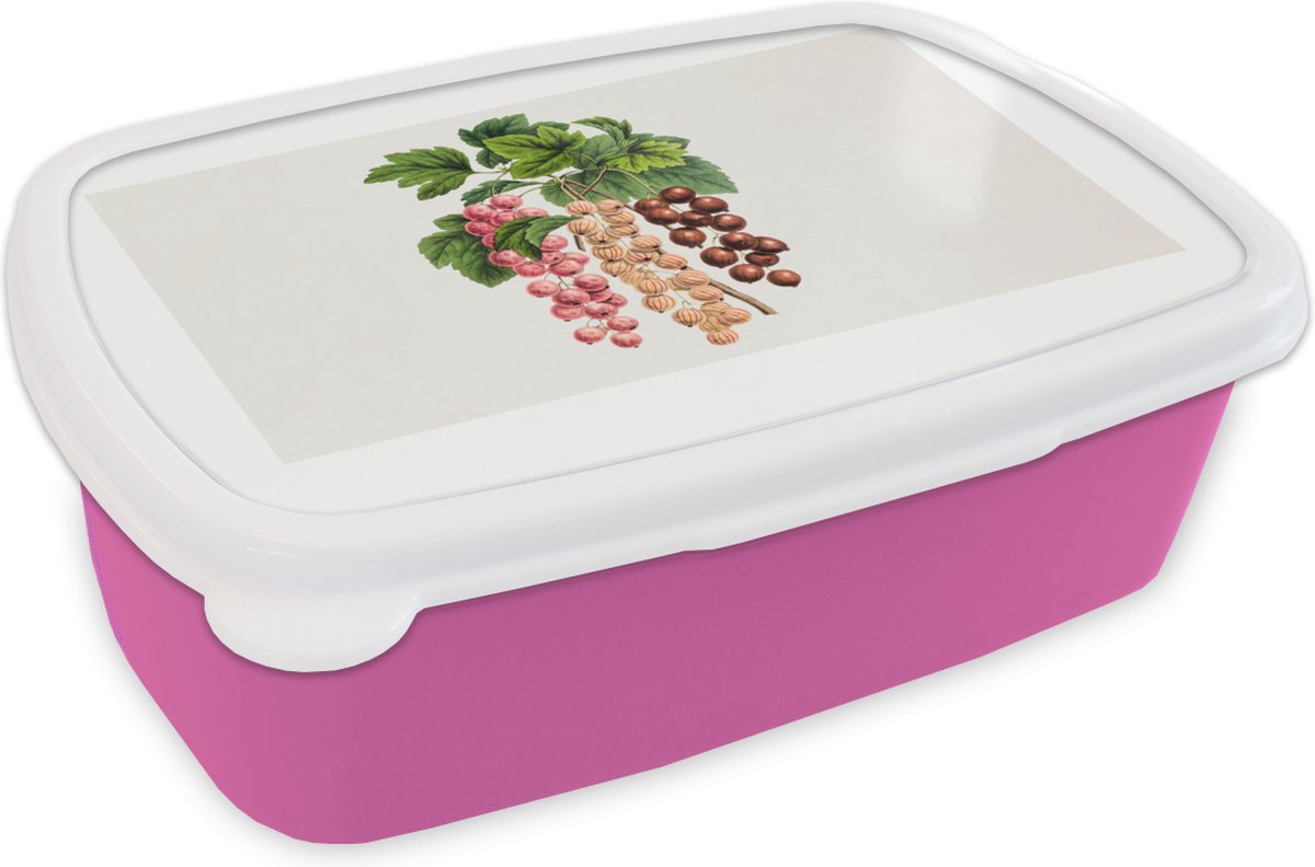 Broodtrommel Roze - Lunchbox - Brooddoos - Eten - Bessen - Plant - 18x12x6 cm - Kinderen - Meisje