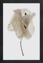 JUNIQE - Poster met houten lijst Boug Island 01 -13x18 /Wit