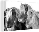 Canvas Schilderij Drie IJslander paarden in de sneeuw - zwart wit - 30x20 cm - Wanddecoratie