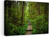 Artaza Canvas Schilderij Voetpad in het Bos met Groene Planten - 60x40 - Foto Op Canvas - Canvas Print