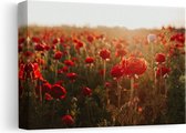 Artaza Canvas Schilderij Veld met Rode Bloemen - 30x20 - Klein - Foto Op Canvas - Canvas Print