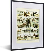 Affiche avec cadre Animaux - Éléphant - Cerf - 30x40 cm