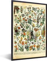 Fotolijst incl. Poster - Bloemen - Planten - Vintage - Adolphe Millot - Kunst - 20x30 cm - Posterlijst