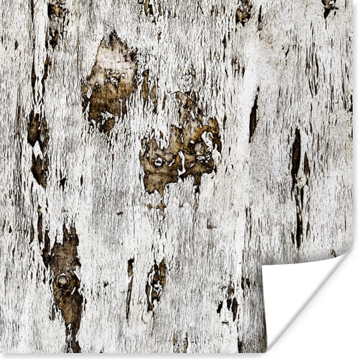 Poster Berk - Wit - Hout - 50x50 cm