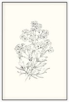 Poelruit zwart-wit Schets (Yellow Meadow Rue) - Foto op Akoestisch paneel - 100 x 150 cm