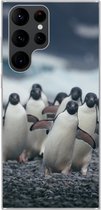 Geschikt voor Samsung Galaxy S22 Ultra hoesje - Adelie pinguïns op het strand - Siliconen Telefoonhoesje