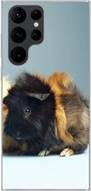 Geschikt voor Samsung Galaxy S22 Ultra hoesje - Twee kleine cavia's - Siliconen Telefoonhoesje