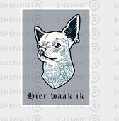 Chihuahua waakt hier sticker - deursticker - buiten sticker - huisstickers - decoratie sticker - vierkant - honden sticker 2x