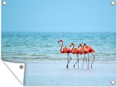 Muurdecoratie buiten Vier flamingo's staan op het strand - 160x120 cm - Tuindoek - Buitenposter