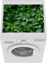 Wasmachine beschermer mat - Groene bladeren - Breedte 55 cm x hoogte 45 cm