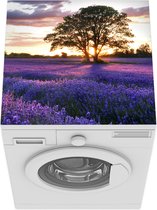 Wasmachine beschermer mat - De avondzonsondergang van de zomer over gebied van organische lavendel in Surrey, Engeland. - Breedte 60 cm x hoogte 60 cm
