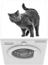 Wasmachine beschermer mat - Nieuwsgierige kat op witte achtergrond - zwart wit - Breedte 60 cm x hoogte 60 cm