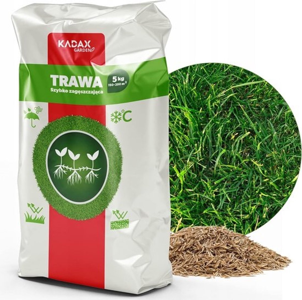 Graszaadmix voor een mooi en gezond gazon - snelgroeiend en vorstbestendig