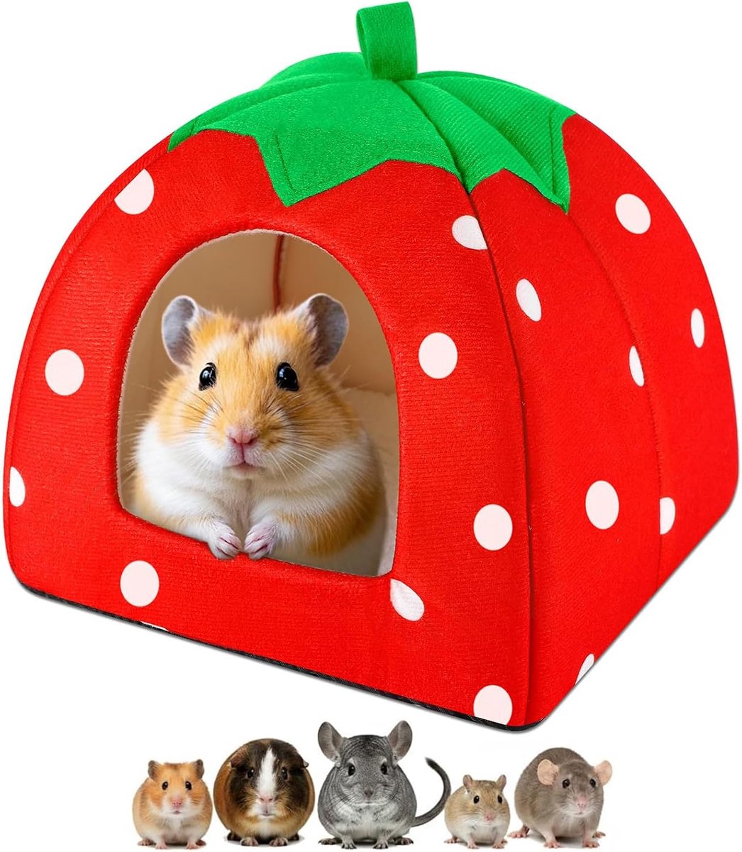 24 x 24 cm, duurzaam cavia-bed, knuffelhol, aardbeien, klein dierbed, afneembaar en wasbaar, voor konijnen, eekhoorns, chinchilla's (aardbeien)