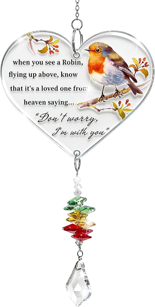 Memorial Gifts, herdenkingsgeschenken voor Robin, acrylplaat met vogel, cadeau voor mama, papa, opa, vriend
