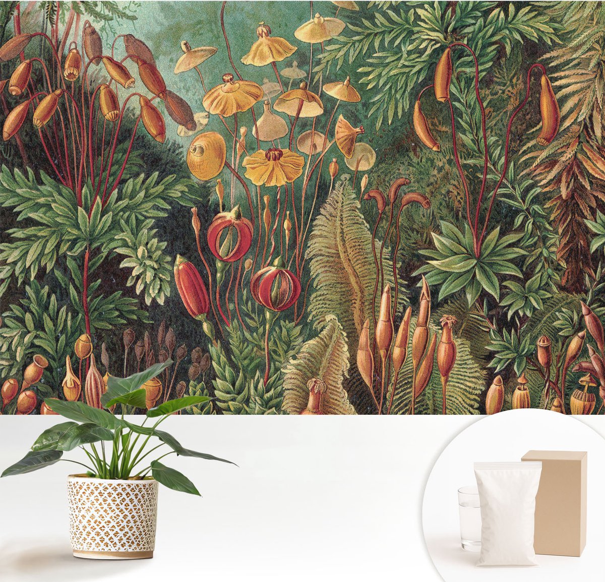 Wallfluent Fotobehang - Groente Vliesbehang - 152x104 cm - Exotische Tuin Muurschildering - Gang behang Bloemen En Planten - Fotobehang Vlies - Gang behang