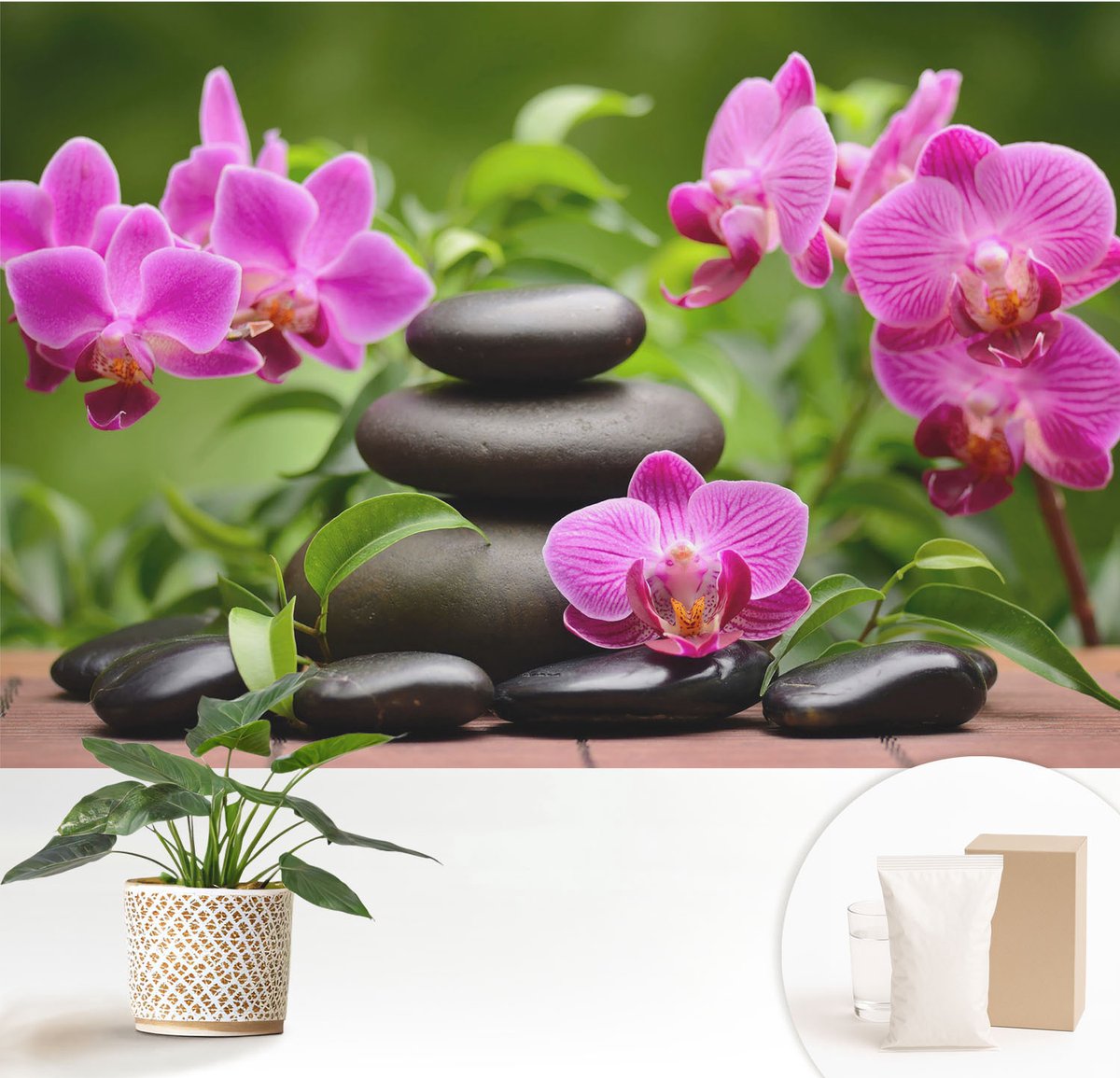 Wallfluent Fotobehang - Groente Vliesbehang - 152x104 cm - Orchideeënstenen Muurschildering - Slaapkamer behang Bloemen En Planten - Fotobehang Vlies - Gang behang