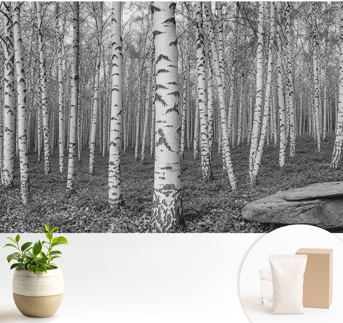 Wallfluent Fotobehang - Zwart-Wit Vliesbehang - 104x70 cm - Berkenbos Muurschildering - Slaapkamer behang Bloemen En Planten - Fotobehang Vlies - Slaapkamer behang