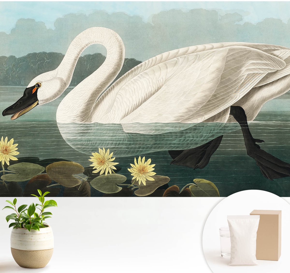 Wallfluent Fotobehang - Wit Vliesbehang - 104x70 cm - Zwaan En Waterlelies Fotobehang Vlies - Hal behang Dieren - Muurschildering - Woonkamer behang