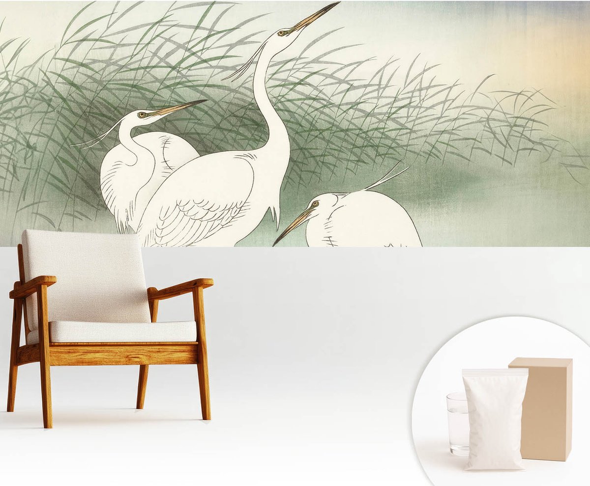 Wallfluent Fotobehang - Wit Vliesbehang - 250x104 cm - Reigers In Het Gras Fotobehang Vlies - Hal behang Dieren - Muurschildering - Hal behang