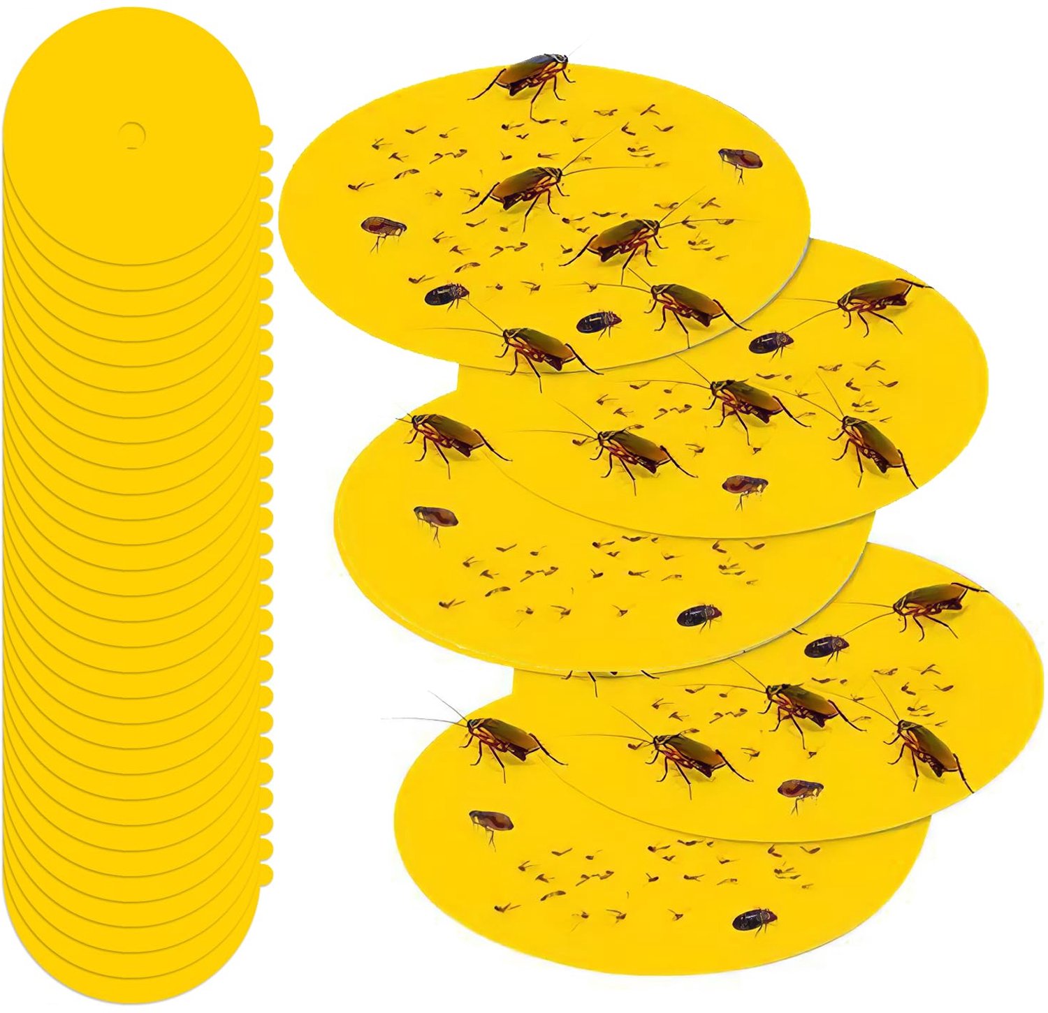 Flea Trap Sticky Discs, 12 stuks, Ø 13 cm, vlooienval voor woning - ShopVlot