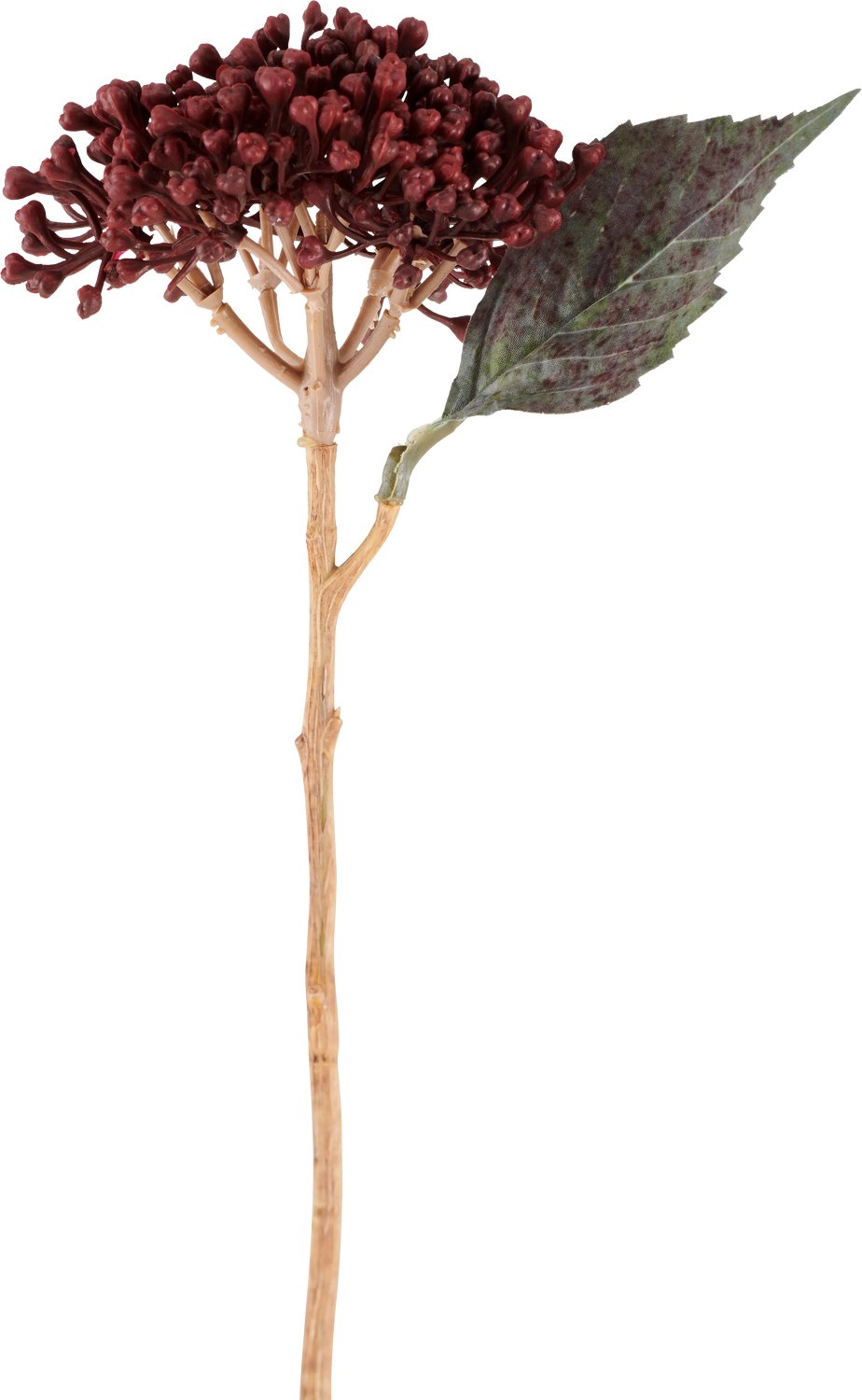 Easyplants | Kunstbloem Gedroogde Hortensia 38 cm bordeaux | Zijde | Nepbloemen | bordeaux | Onderhoudsvrij | Kant-en-klaar