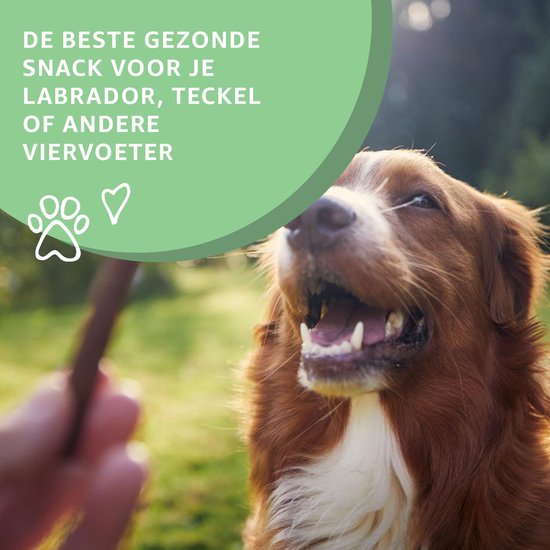 Een hond kijkt naar een behandeling, met tekst 'De beste gezonde snack voor je labrador, teckel of andere viervoeter'.
