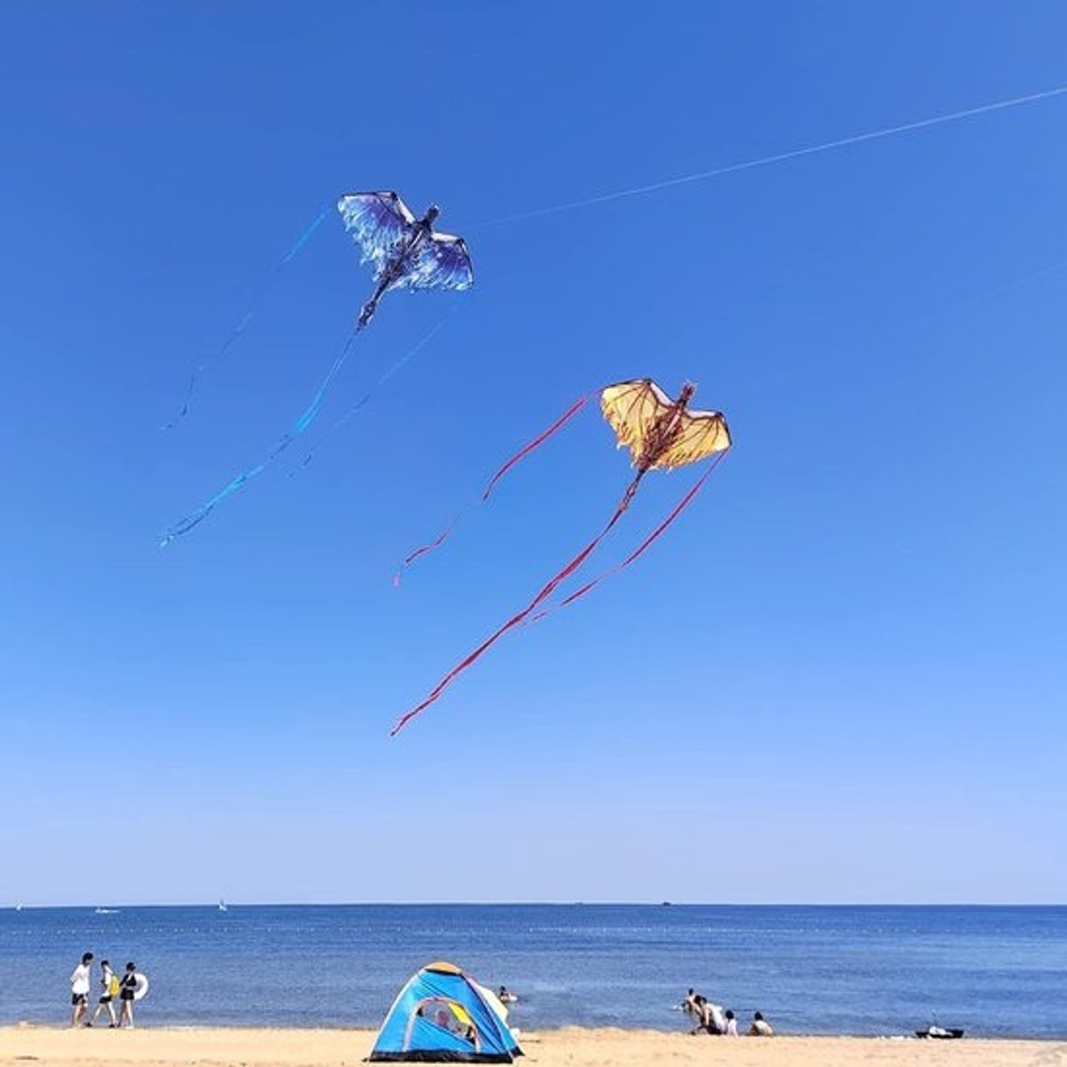 Vlieger voor Kinderen en Volwassenen, Eenvoudig te Vliegen, Ideaal voor Beginners, Grote Eenlijn Vlieger voor Stranduitjes en Buitenactiviteiten
