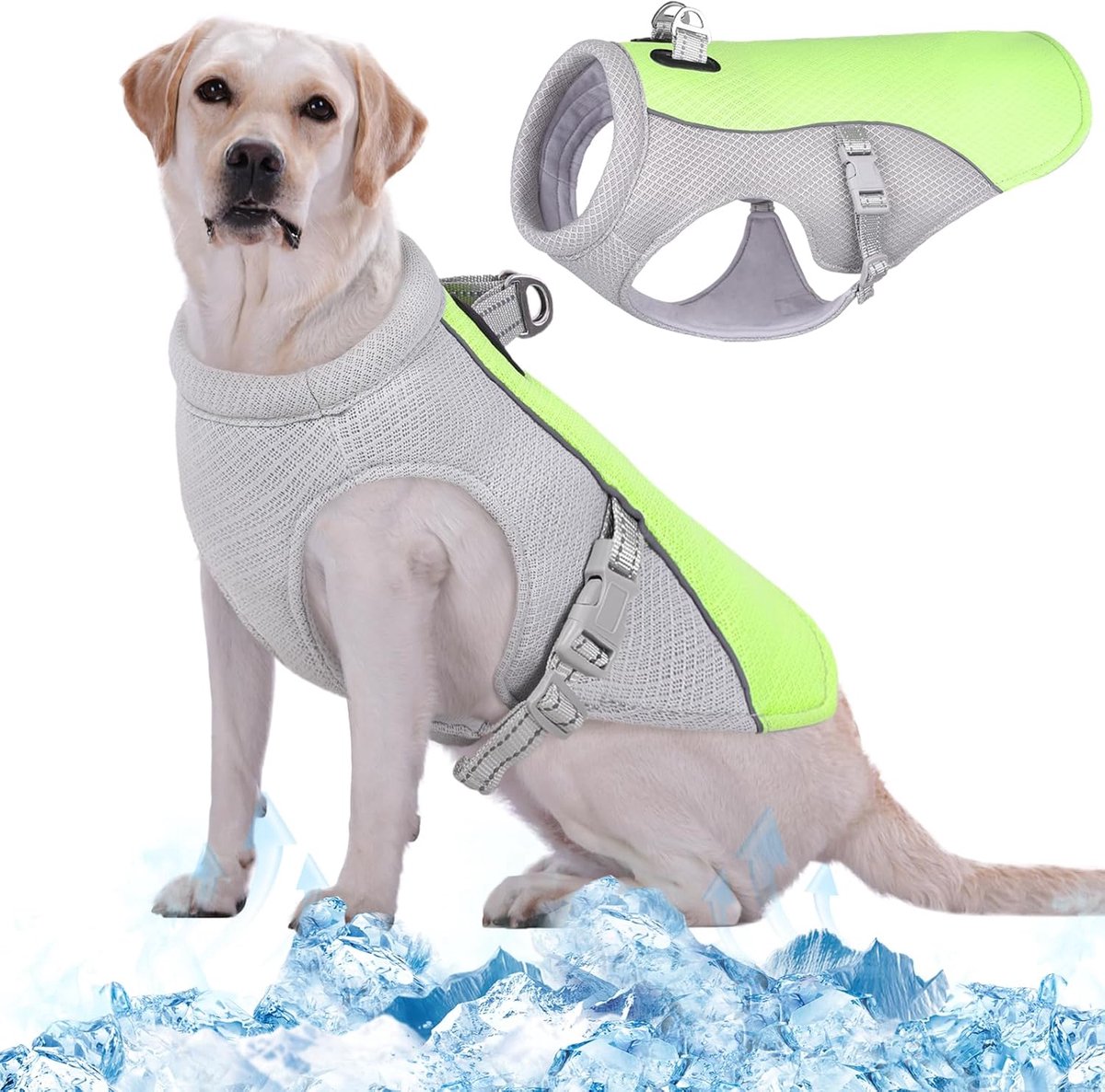 Koelvest voor honden, koeljas voor honden, ademend koelvest voor huisdieren, zomervest voor honden, voor outdooractiviteiten