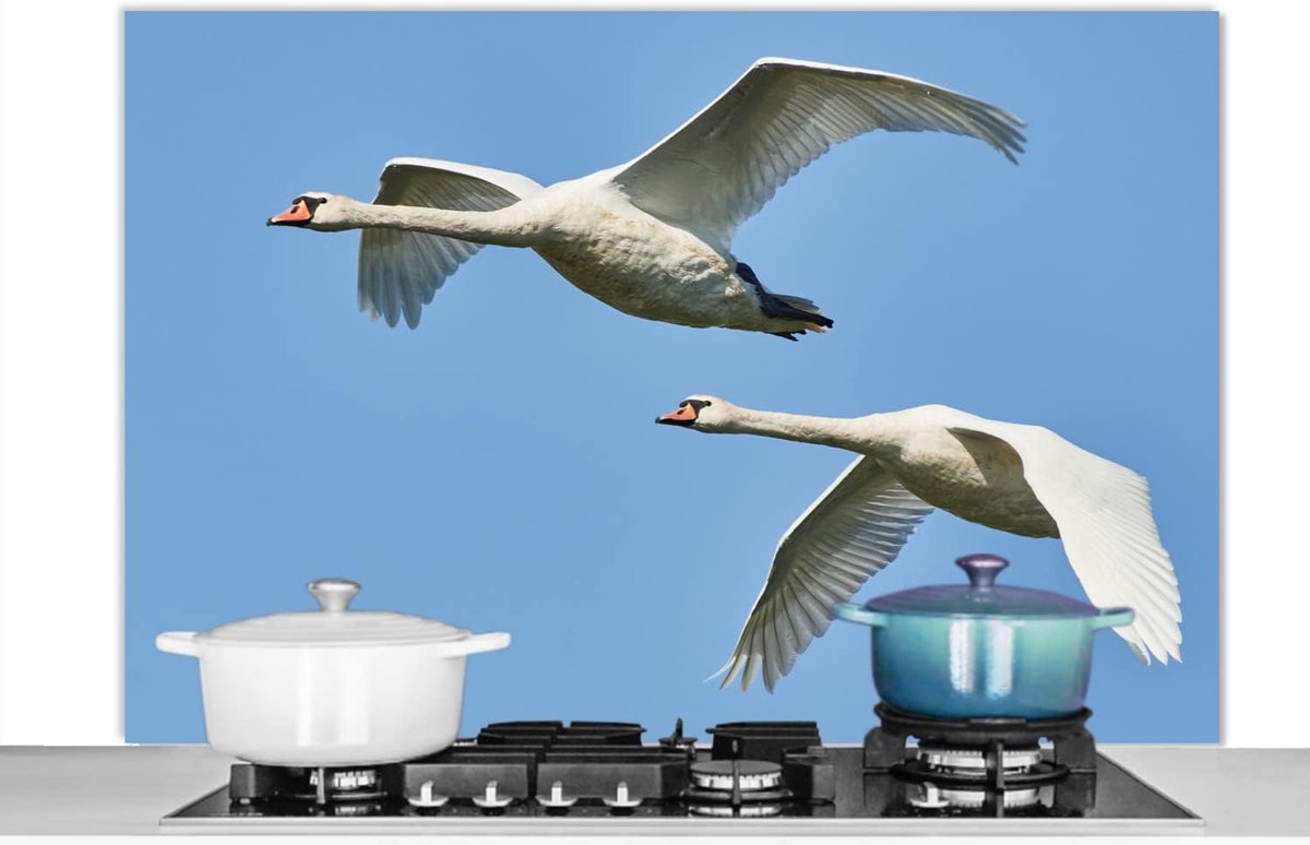 Spatscherm Keuken - 120x80 cm - Zwaan - Vogel - Lucht - Blauw