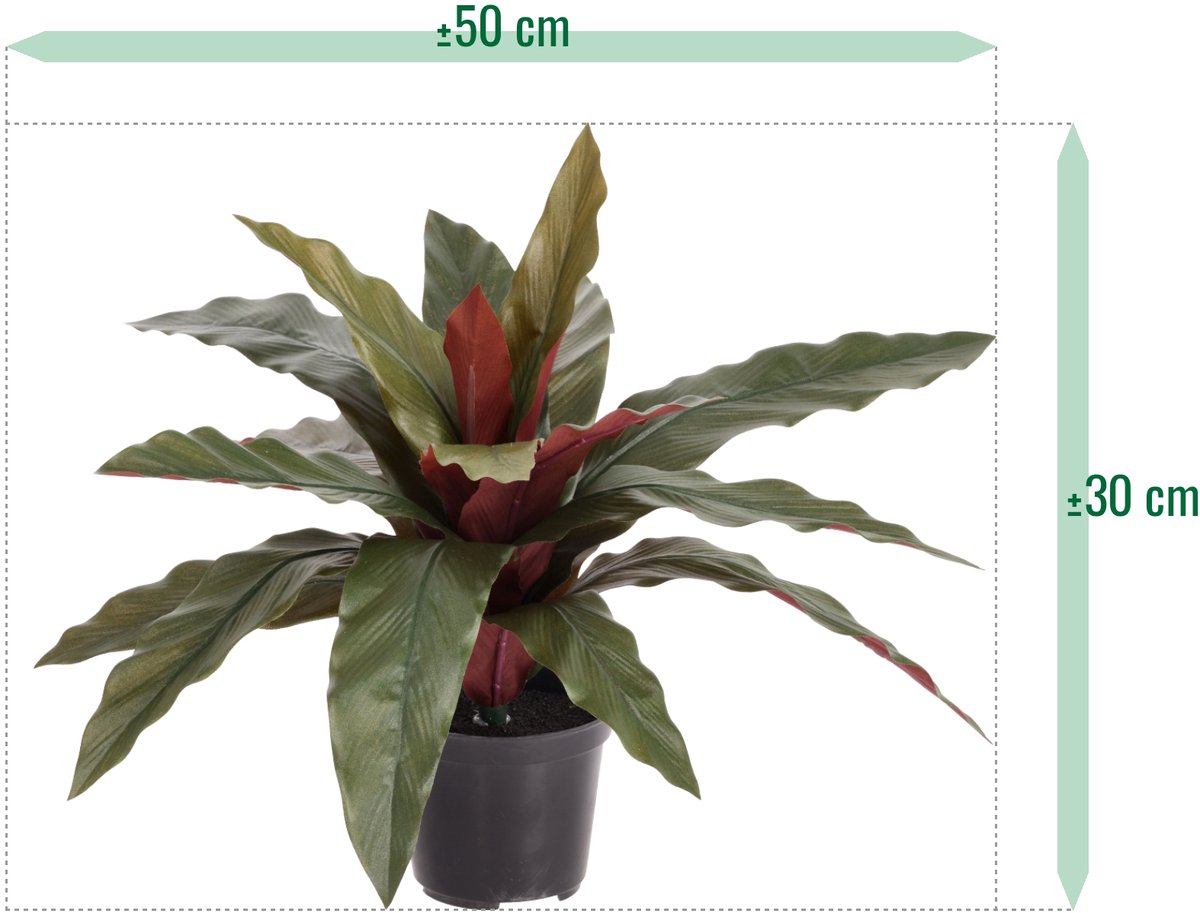 Calathea 30cm Kunstplant groen/rood in kweekpot 10cm