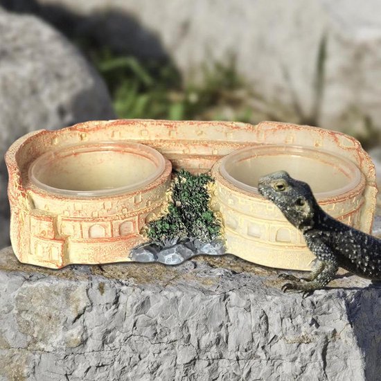Reptiel Voerbak Transparante Kom — afbeelding 4