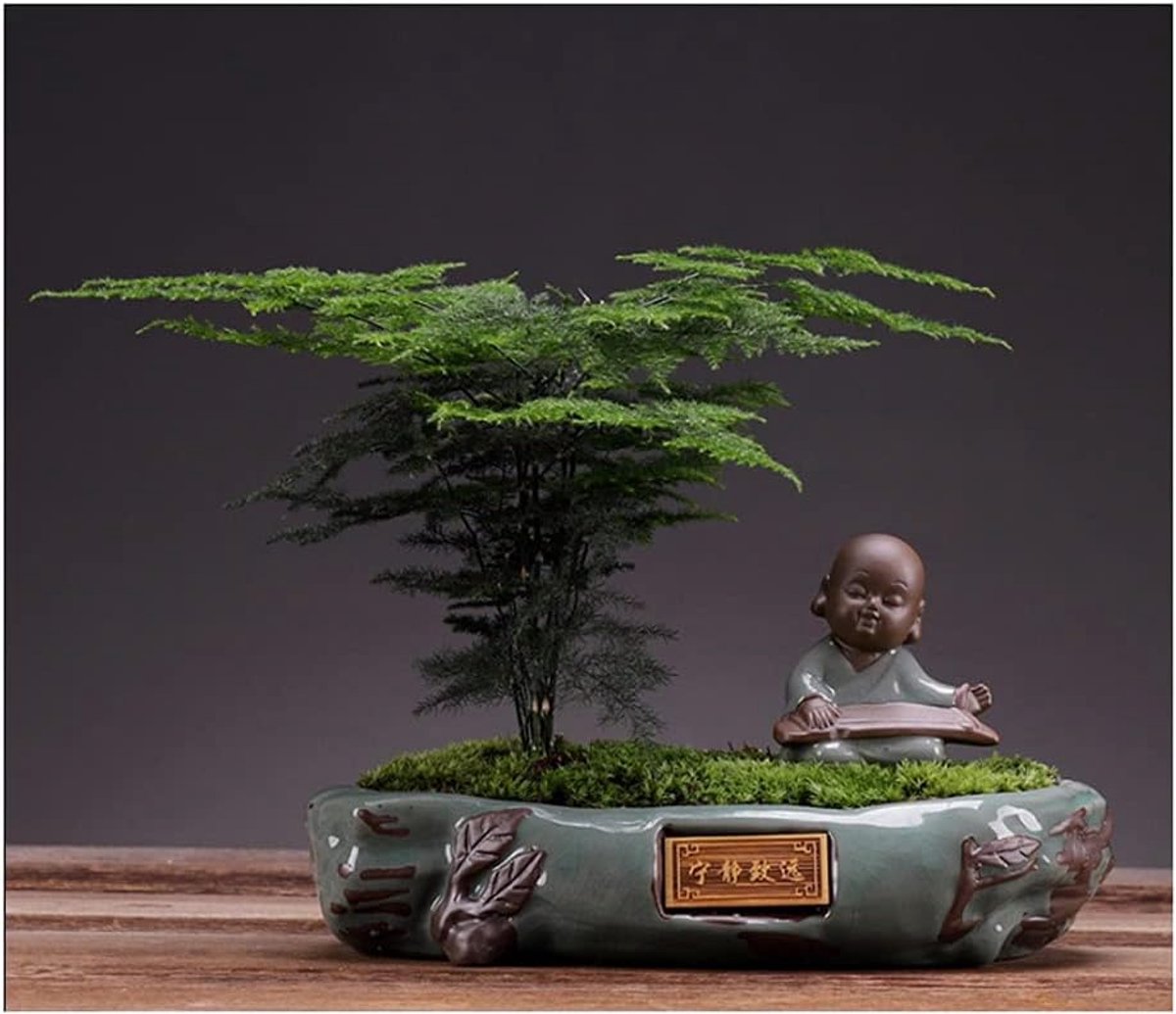 Kunstmatige Bonsai Tree Simulatie Tree Rode Sandelhout Banyan Tree Asperges Groene Planten Geschikt for Bureau Woonkamer Decoratie Kunstplant (Color : (Qin)) Wenzhu)