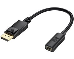 DisplayPort naar Mini DisplayPort Adapter - 15 cm