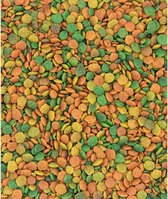 Versele-Laga Nutribird G14 Tropical Grote Parkiet - Vogelvoer - 1 kg